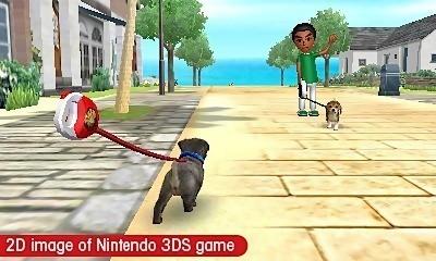 Nintendogs + Cats review: French Bulldog