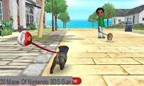 Revisión de Nintendogs + Cats: Bulldog francés