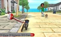 Revisão de Nintendogs + Cats: Bulldog Francês