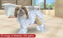 Nintendogs + Cats review: French Bulldog