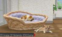 Revisão de Nintendogs + Cats: Bulldog Francês