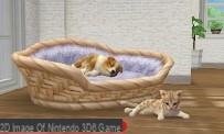 Nintendogs + Cats review: French Bulldog