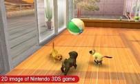 Nintendogs + Cats review: French Bulldog