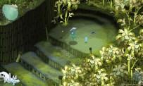 Prova le isole di Wakfu